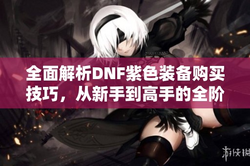 全面解析DNF紫色装备购买技巧，从新手到高手的全阶段攻略