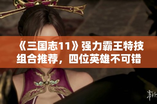 《三国志11》强力霸王特技组合推荐，四位英雄不可错过！