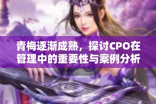 青梅逐渐成熟，探讨CPO在管理中的重要性与案例分析