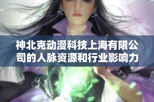 神北克动漫科技上海有限公司的人脉资源和行业影响力分析