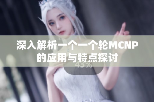 深入解析一个一个轮MCNP的应用与特点探讨