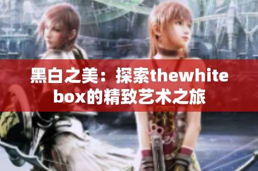 黑白之美：探索thewhitebox的精致艺术之旅