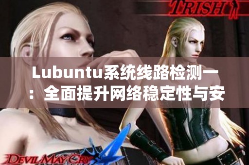 Lubuntu系统线路检测一：全面提升网络稳定性与安全性