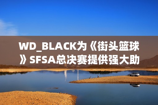 WD_BLACK为《街头篮球》SFSA总决赛提供强大助力，携手创新游戏体验