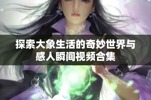 探索大象生活的奇妙世界与感人瞬间视频合集