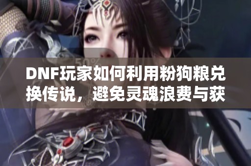 DNF玩家如何利用粉狗粮兑换传说，避免灵魂浪费与获取更多经验