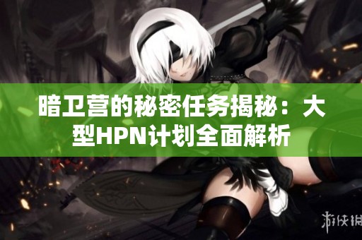 暗卫营的秘密任务揭秘：大型HPN计划全面解析