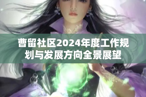 曹留社区2024年度工作规划与发展方向全景展望