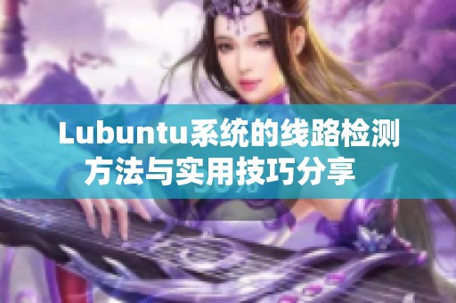 Lubuntu系统的线路检测方法与实用技巧分享  