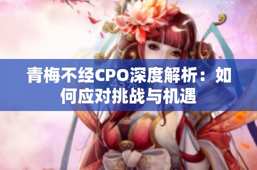 青梅不经CPO深度解析：如何应对挑战与机遇