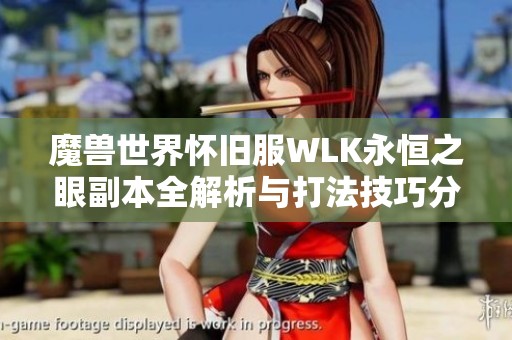 魔兽世界怀旧服WLK永恒之眼副本全解析与打法技巧分享