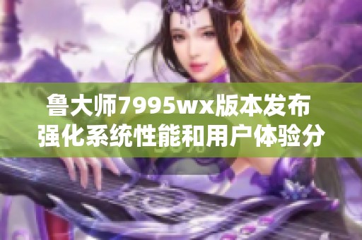 鲁大师7995wx版本发布 强化系统性能和用户体验分析