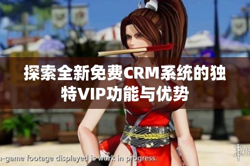 探索全新免费CRM系统的独特VIP功能与优势