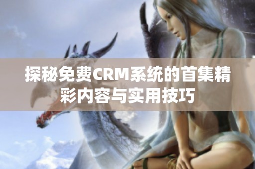 探秘免费CRM系统的首集精彩内容与实用技巧