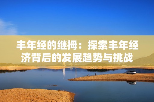 丰年经的继拇：探索丰年经济背后的发展趋势与挑战