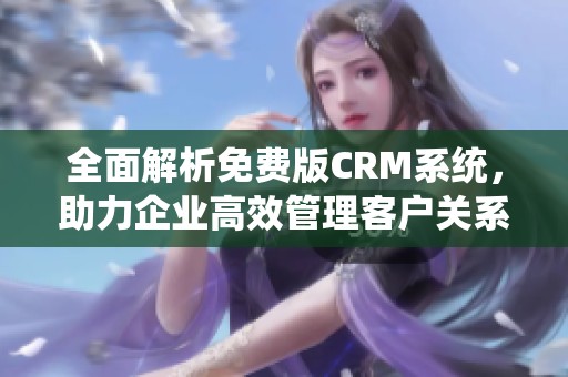 全面解析免费版CRM系统，助力企业高效管理客户关系