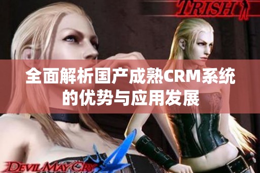 全面解析国产成熟CRM系统的优势与应用发展