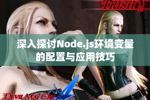 深入探讨Node.js环境变量的配置与应用技巧