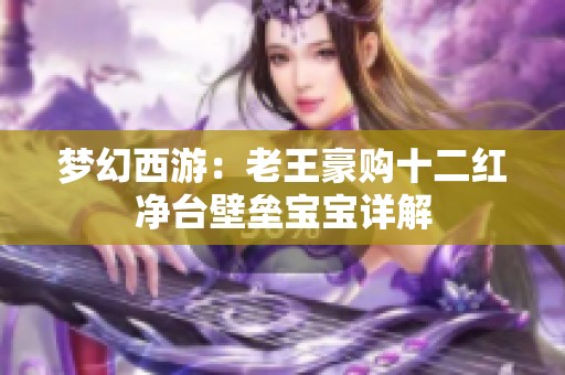 梦幻西游：老王豪购十二红净台壁垒宝宝详解