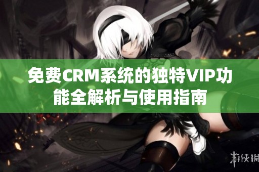 免费CRM系统的独特VIP功能全解析与使用指南