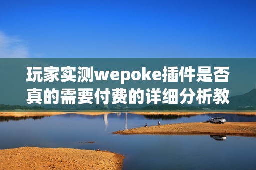 玩家实测wepoke插件是否真的需要付费的详细分析教程