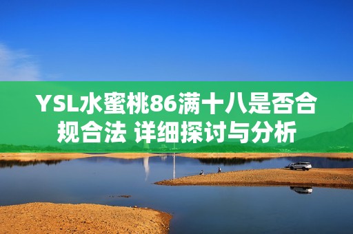 YSL水蜜桃86满十八是否合规合法 详细探讨与分析